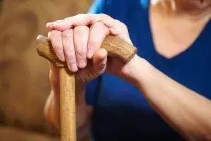 South Carolina Application Process Lawyers 
